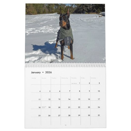 Simply Dogs calendar カレンダー (1月 2026)