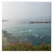 Simpson Reef Overlook, Oregon Coast タイル (正面)