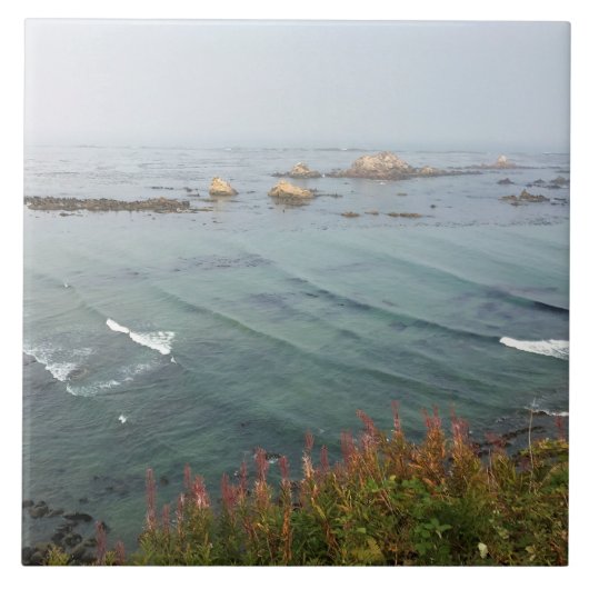 Simpson Reef Overlook, Oregon Coast タイル (正面)