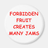 SIN2 マグネット (正面)