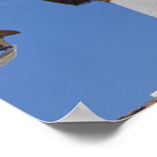 Sindokha Dzong, Dochu La Pass ポスター (角)