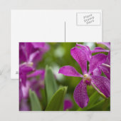 Singaporeサンスクリット語(Lion City)。国民 ポストカード (正面/裏面)