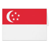 Singapore Flag (正面横)