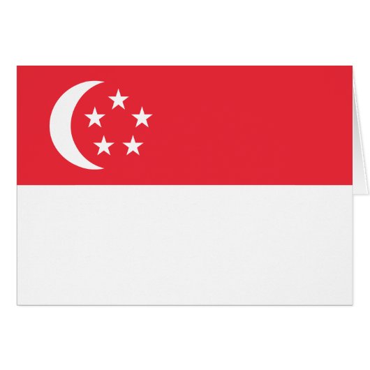Singapore Flag (正面横)