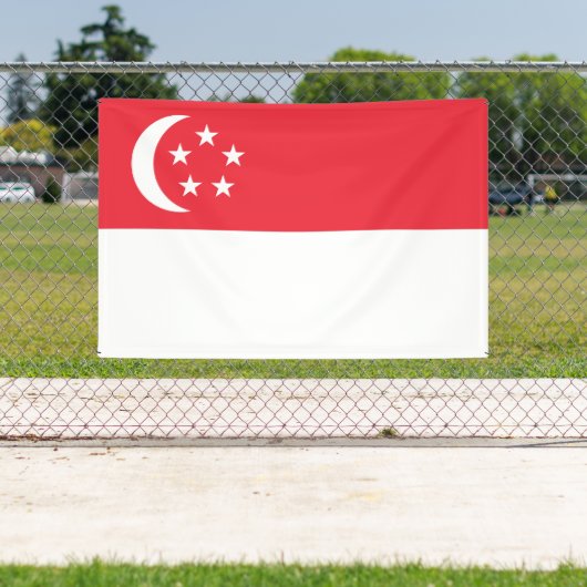 Singapore Flag 横断幕 (インサイチュ)
