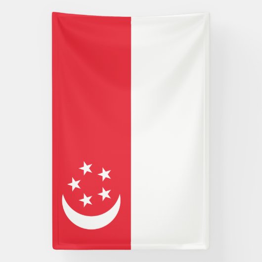 Singapore Flag 横断幕 (縦)