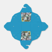 Singapore's Sundried Flavors フェイバーボックス (折り畳みなし)