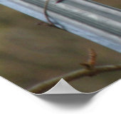 Singing Blackbird Print ポスター (角)