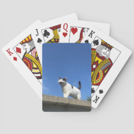 Singing Cat Playing Cards 歌う猫 トランプ