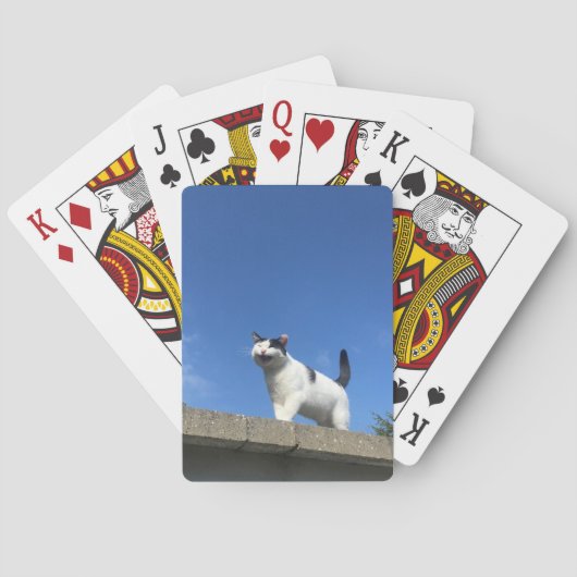 Singing Cat Playing Cards 歌う猫 トランプ (裏面)