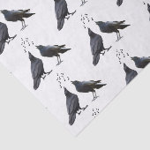 Singing Crows Tissue Paper 薄葉紙 (詳細)