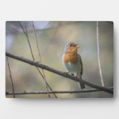 Singing Robinの自然写真 フォトプラーク (正面)