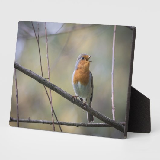Singing Robinの自然写真 フォトプラーク (側面)