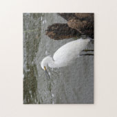 Singing Snowy Egret ジグソーパズル (縦)