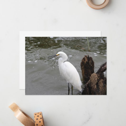 Singing Snowy Egret ノートカード (正面/裏面インサイチュ)