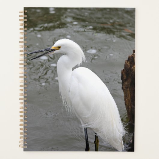 Singing Snowy Egret プランナー手帳 (正面)