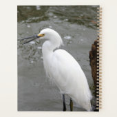 Singing Snowy Egret プランナー手帳 (裏面)