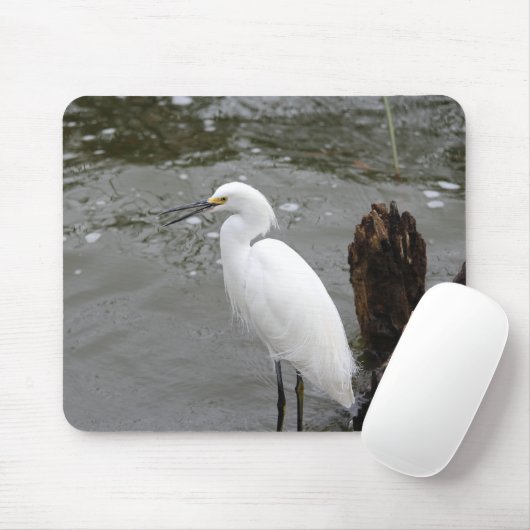 Singing Snowy Egret マウスパッド (マウス)