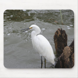 Singing Snowy Egret マウスパッド
