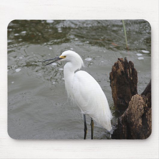 Singing Snowy Egret マウスパッド (正面)