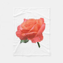 singleの写真の上で上がりました閉めて下さい