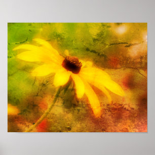 Single Black Eyed Susan Daisy Abstract Grunge ポスター