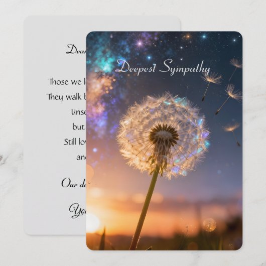 Single dandelion head with its seeds, sunset (正面/裏面)