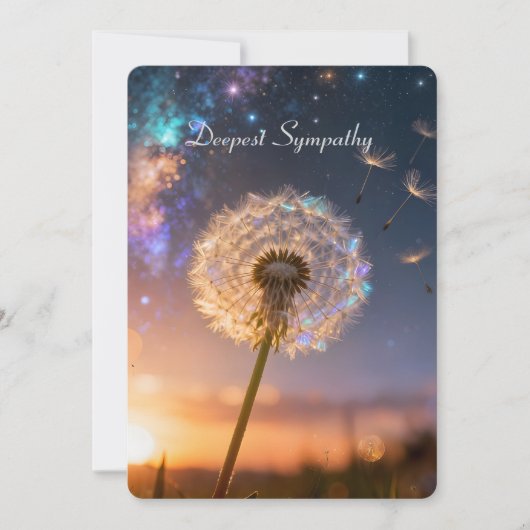 Single dandelion head with its seeds, sunset (正面)