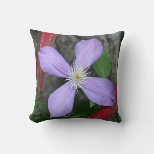 Single Lavender Clematis Flower  クッション (正面)
