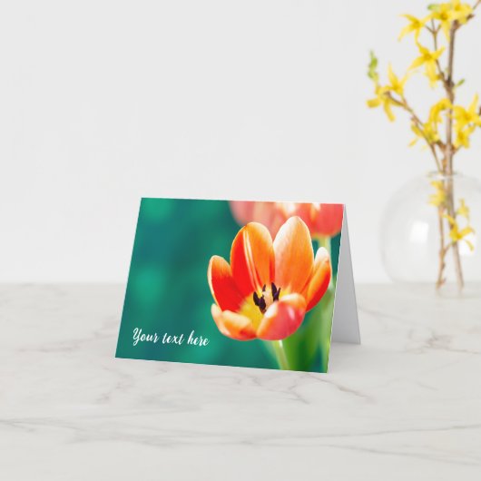 Single Orange Tulip カード (黄色い花)