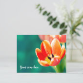 Single Orange Tulip Postcard ポストカード (スタンド正面)