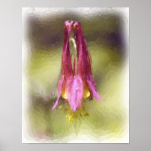 Single Red Columbine Flower Art ポスター
