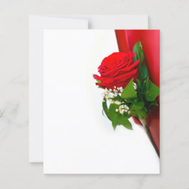 Single Red Rose – Floral White Background