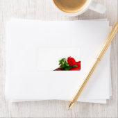 Single Red Rose – Floral White Background ラベル (インサイチュ)