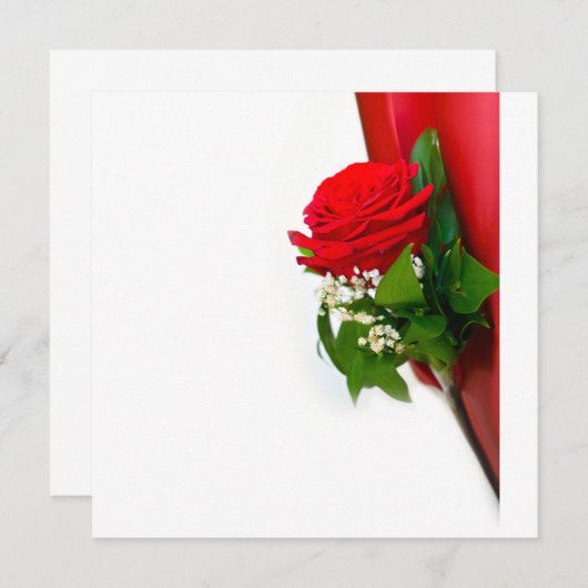 Single Red Rose – Floral White Background 招待状 (正面/裏面)