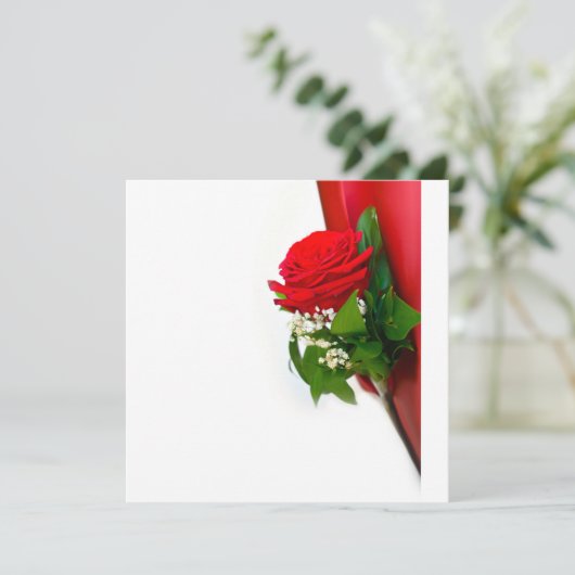Single Red Rose – Floral White Background 招待状 (スタンド正面)