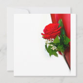 Single Red Rose – Floral White Background 招待状 (正面)