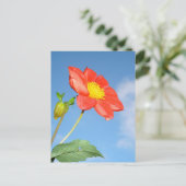 Single Red Strawberry Blossom Flower ポストカード (スタンド正面)