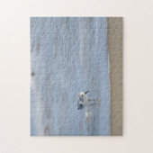 Single Sandpiper walking on beach  ジグソーパズル (縦)