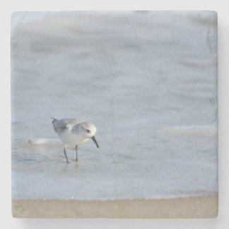 Single Sandpiper walking on beach  ストーンコースター