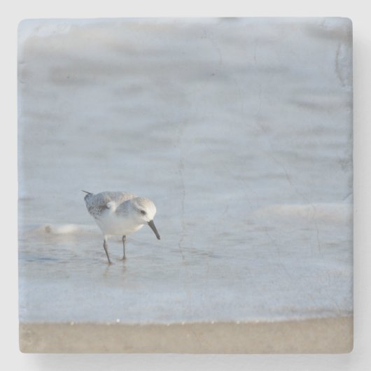 Single Sandpiper walking on beach  ストーンコースター (正面)