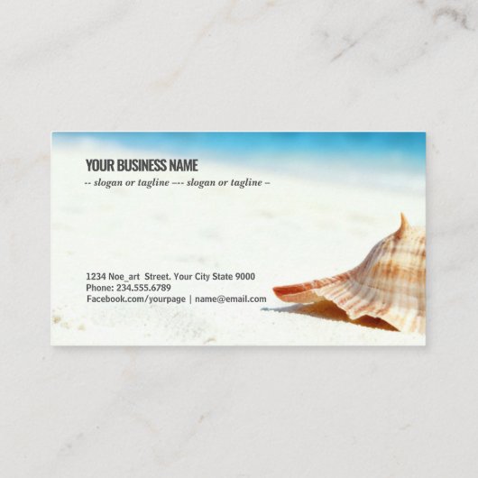 Single Shell on Sun-Kissed Sands 名刺 (裏面)