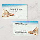 Single Shell on Sun-Kissed Sands 名刺 (正面/裏面)