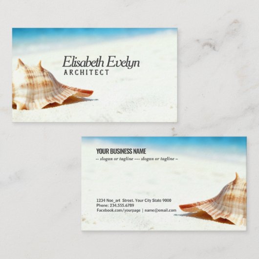 Single Shell on Sun-Kissed Sands 名刺 (正面/裏面)