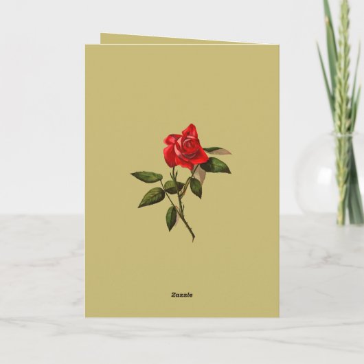 Single Stem Red Rose Isolated Vector Art カード (裏面)