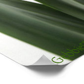 Single Yellow Narcissus Daffodil ポスター (角)