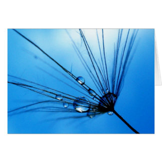 Sings Blues Card女性