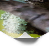 Sinister Squirrel 24 x 20 Kodak Proフォト紙 フォトプリント (角)