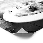 sink_cats_12ペット愛嬌のある動物を子猫にする ポスター (角)