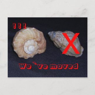 sinsinsing umgezogen postkarte 案内ポストカード